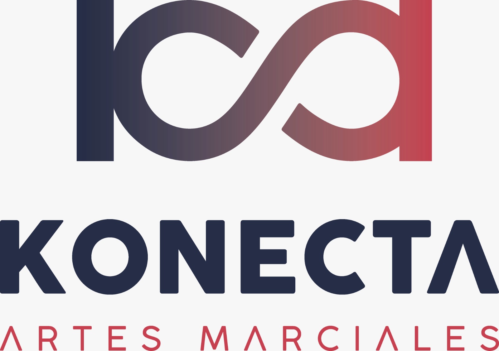Club taekwondo y Kick boxing Konecta
